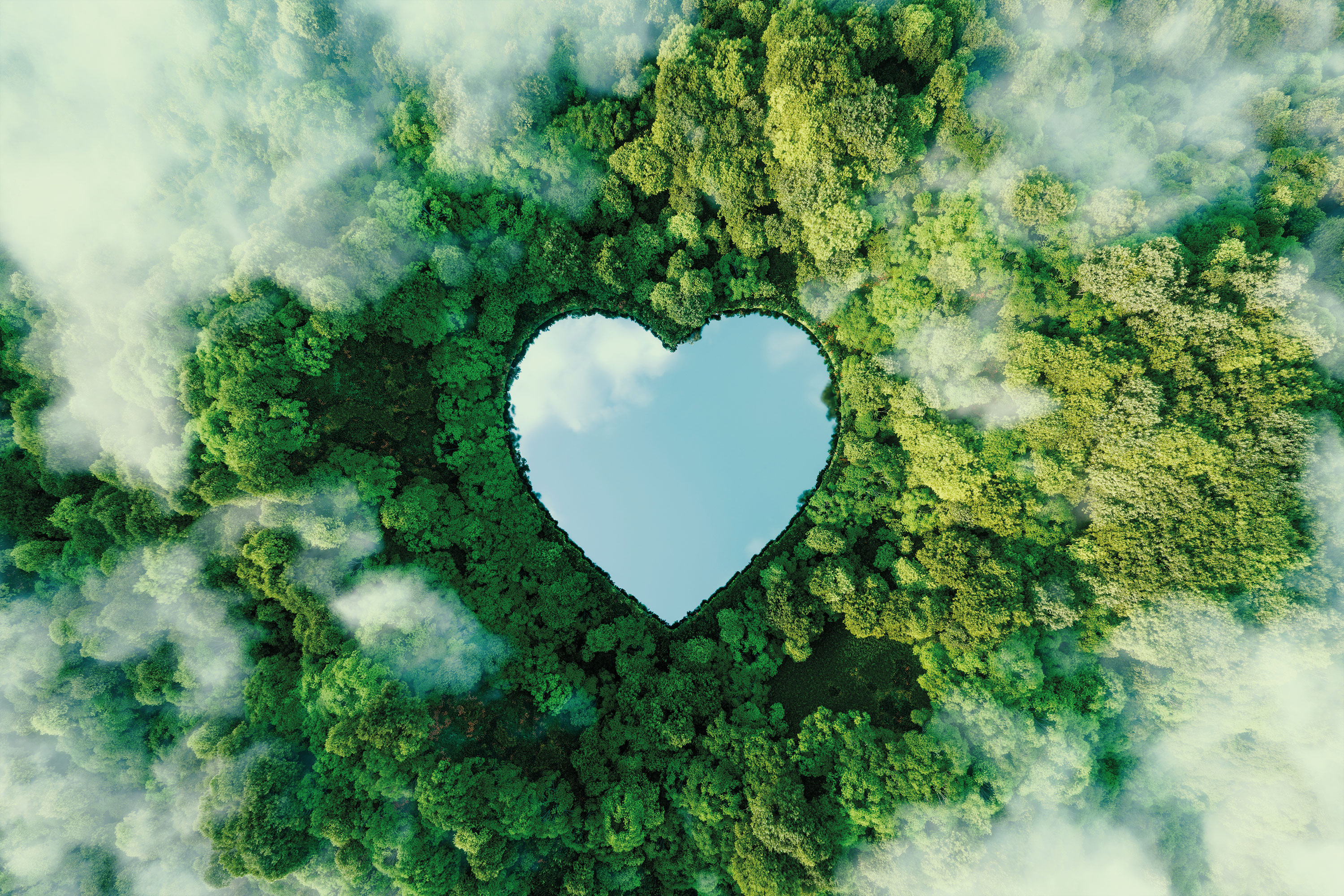 A heart shaped lake in a thick forest